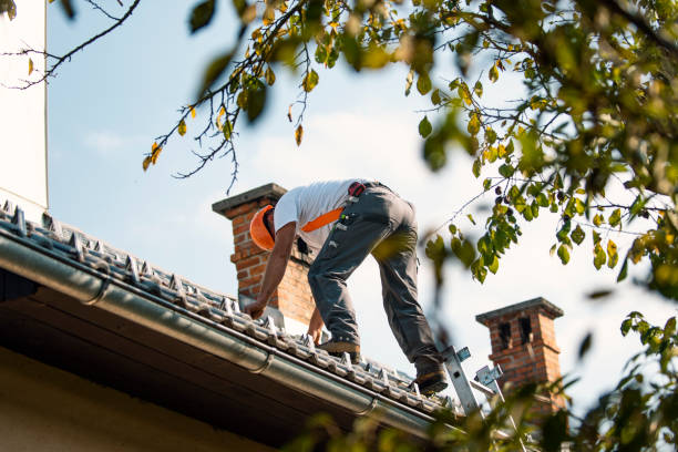 Steel Roofing in Beverly Hills, MI